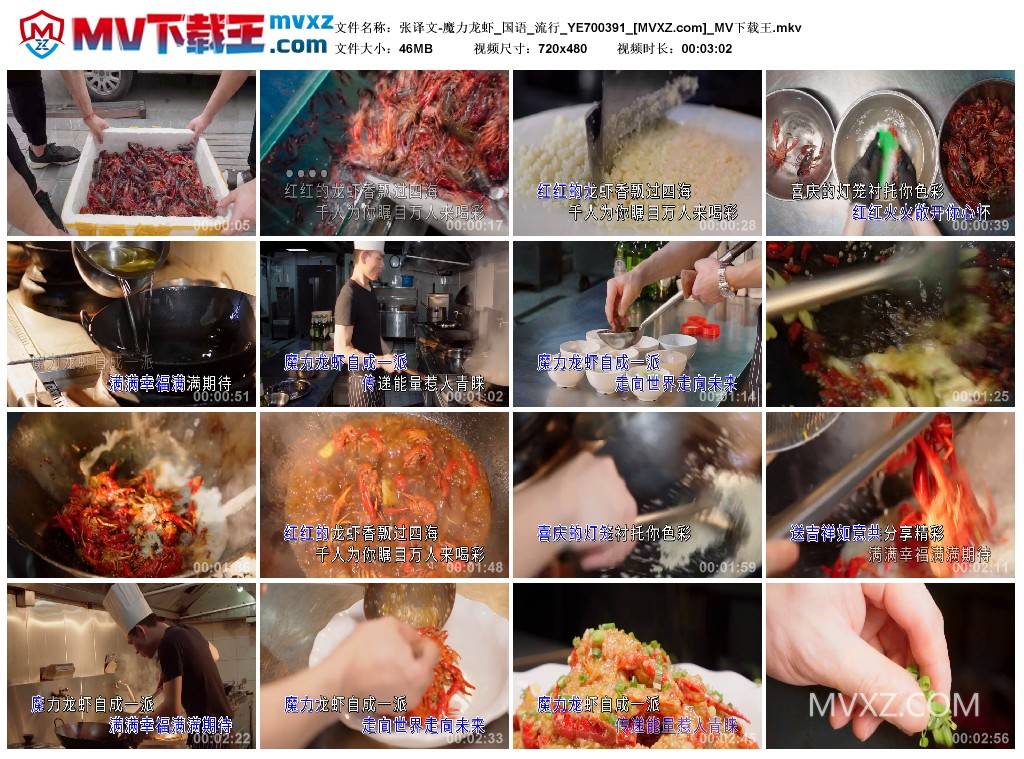 张译文-魔力龙虾_国语_流行_YE700391